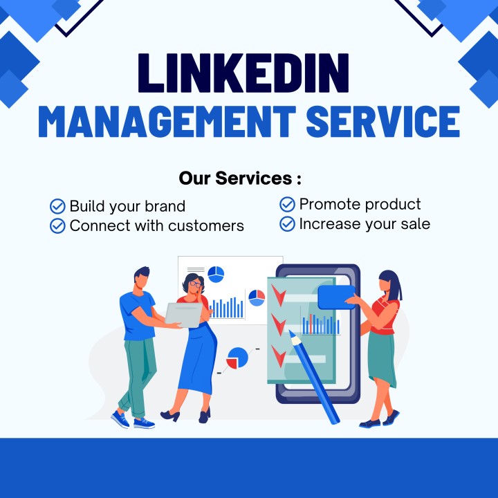 LinkedIn Ads Services in Alaska for B2B Lead Generation and Business Marketing 2026